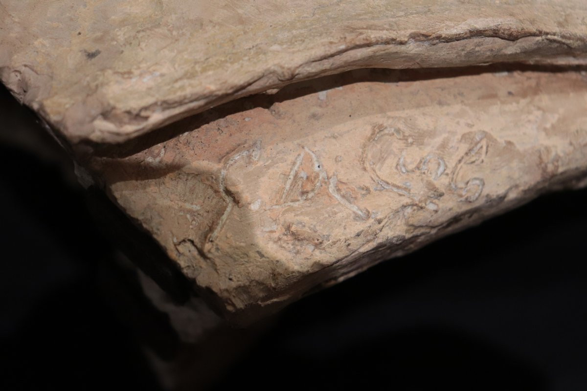 Giuseppe Di Ciolo (Lucca fine'800) - Busto terracotta-photo-2