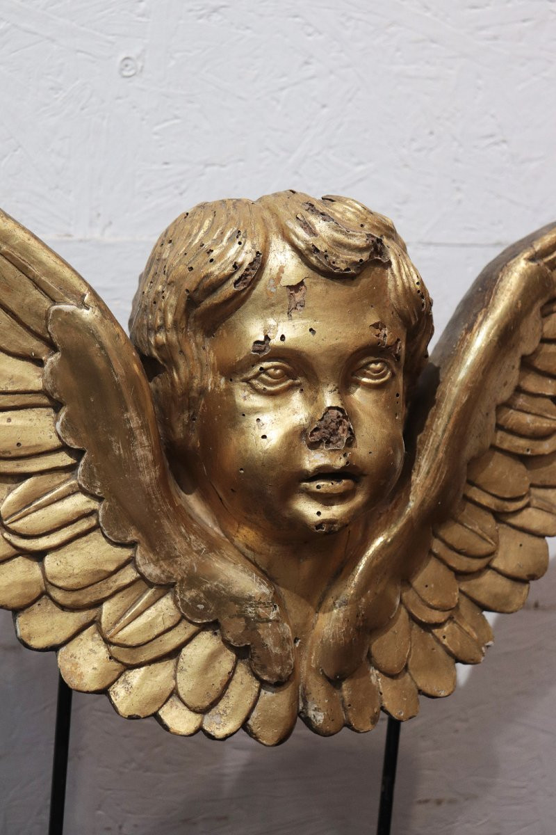 Scultura Angioletto Dorato, Toscana, '700-photo-3
