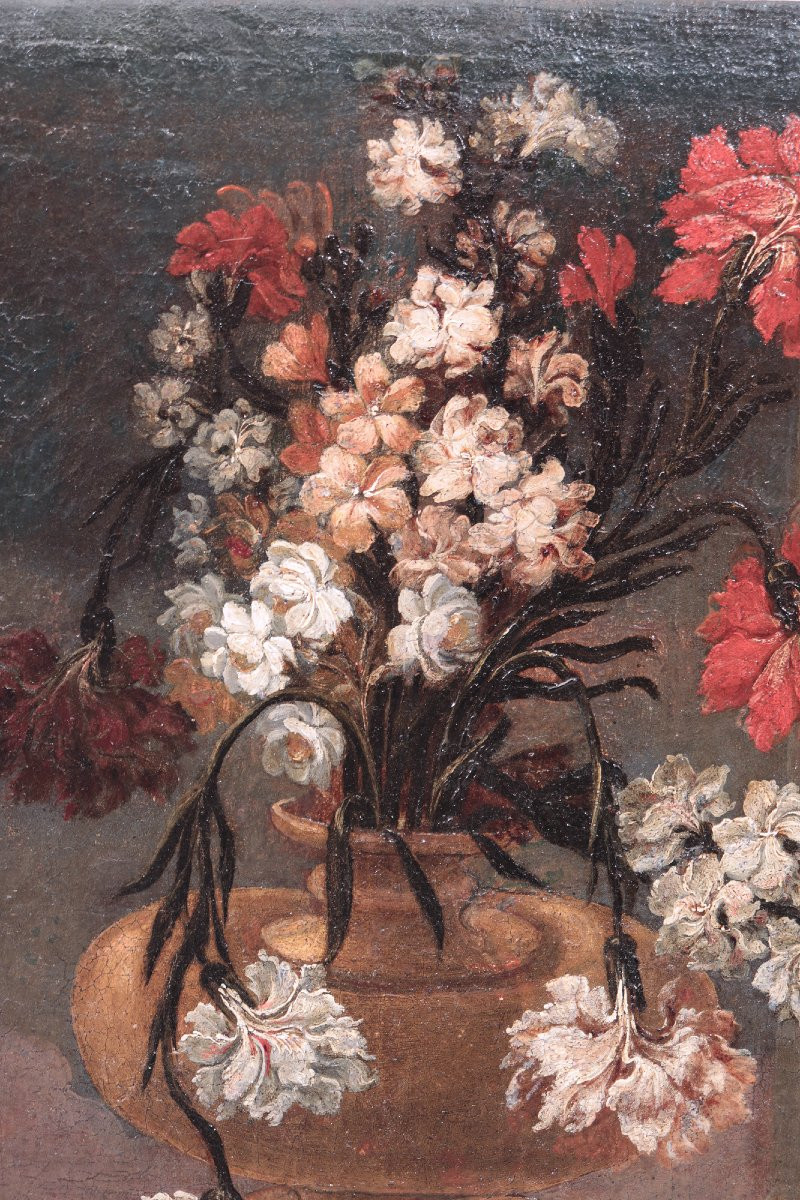 Stanchi Giovanni (Roma, 1608-1675)-Natura Morta-photo-3