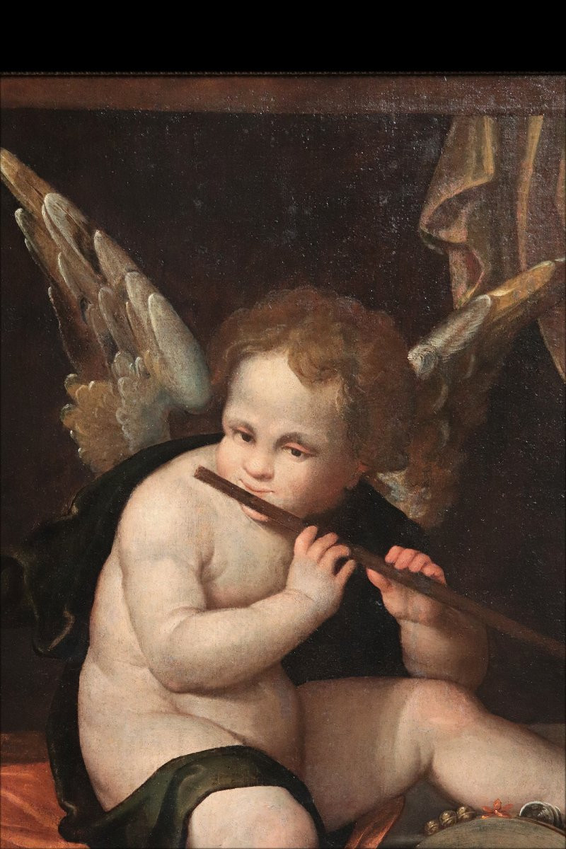 Francesco Vecellio  ( Pieve di Cadore 1475ca - 1560ca) - Angelo Musicante-photo-2