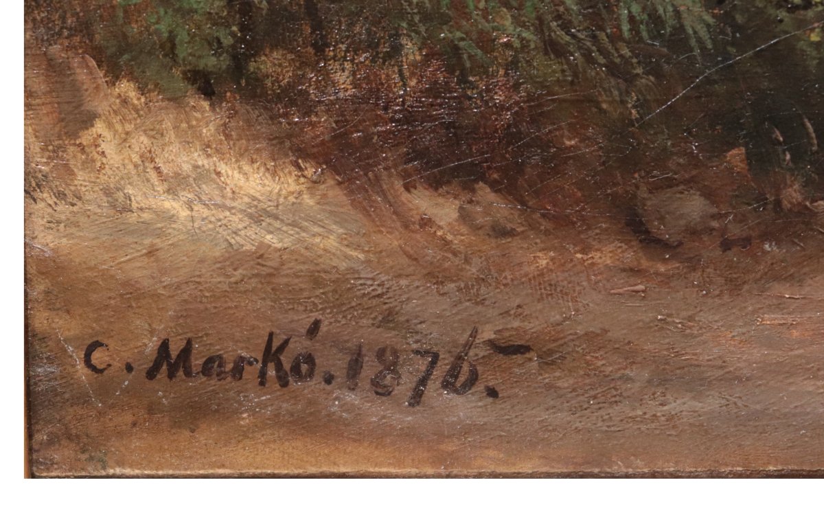 CARLO MARKO' il giovane (Budapest 1822 – Mosca 1891)- Paesaggio-photo-3