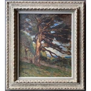 Mediterranean Landscape And Corsica? At The Grand Pin Parasol Oil By Raymond Jean Verdun 1873 1954