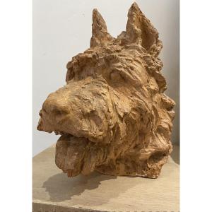 Terracotta Dog Bouvier Des Flandres 34 Cm Height Viewed By Sculptor Richard Fath 1900 - 1952