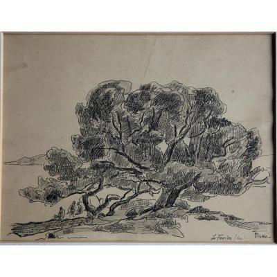 Jean Peske Russia 1870 - Le Mans France 1949 Seaside At La Favière Bormes Les Mimosas