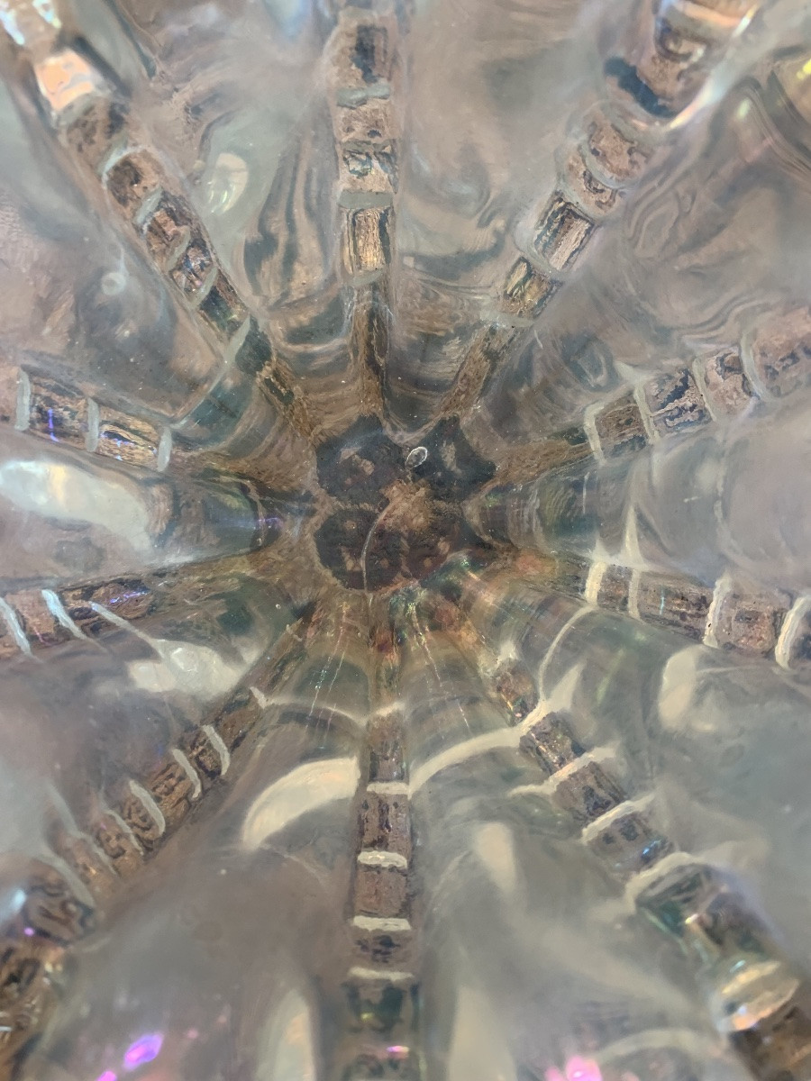 Ciotola conchiglia Barovier e Toso Murano-photo-7