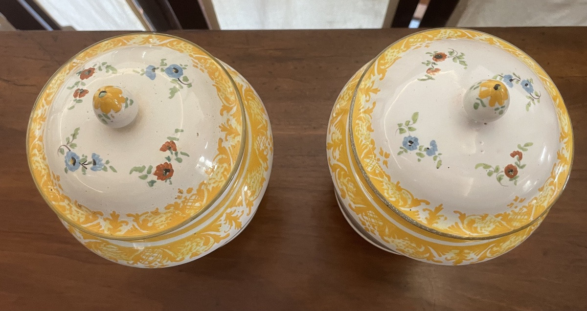 Coppia di vasi Neoclassici in Maiolica policroma, Faenza 18/19esimo secolo -photo-4