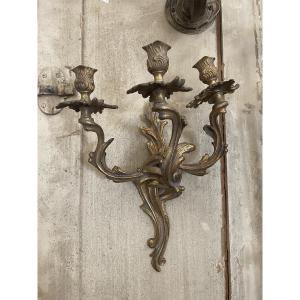 Antica applique in bronzo dorato di gusto Rocaille