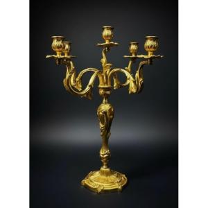 Five-light Gilt Bronze Candelabra In Louis XV Rococo Style, 19th Century