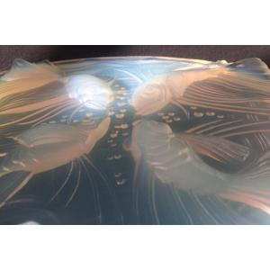 Verlys, Trivet