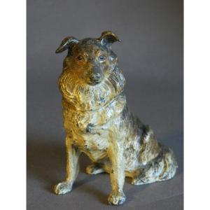 Border Collie Dog Sitting Nuremberg Lead Painted Vienna Bronze Style