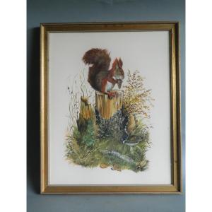 The Squirrel, Gouache On Paper, XXth Century.