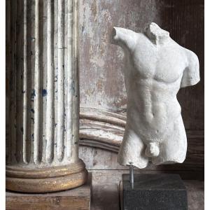 Apollo Torso/20th Century Plaster Cast