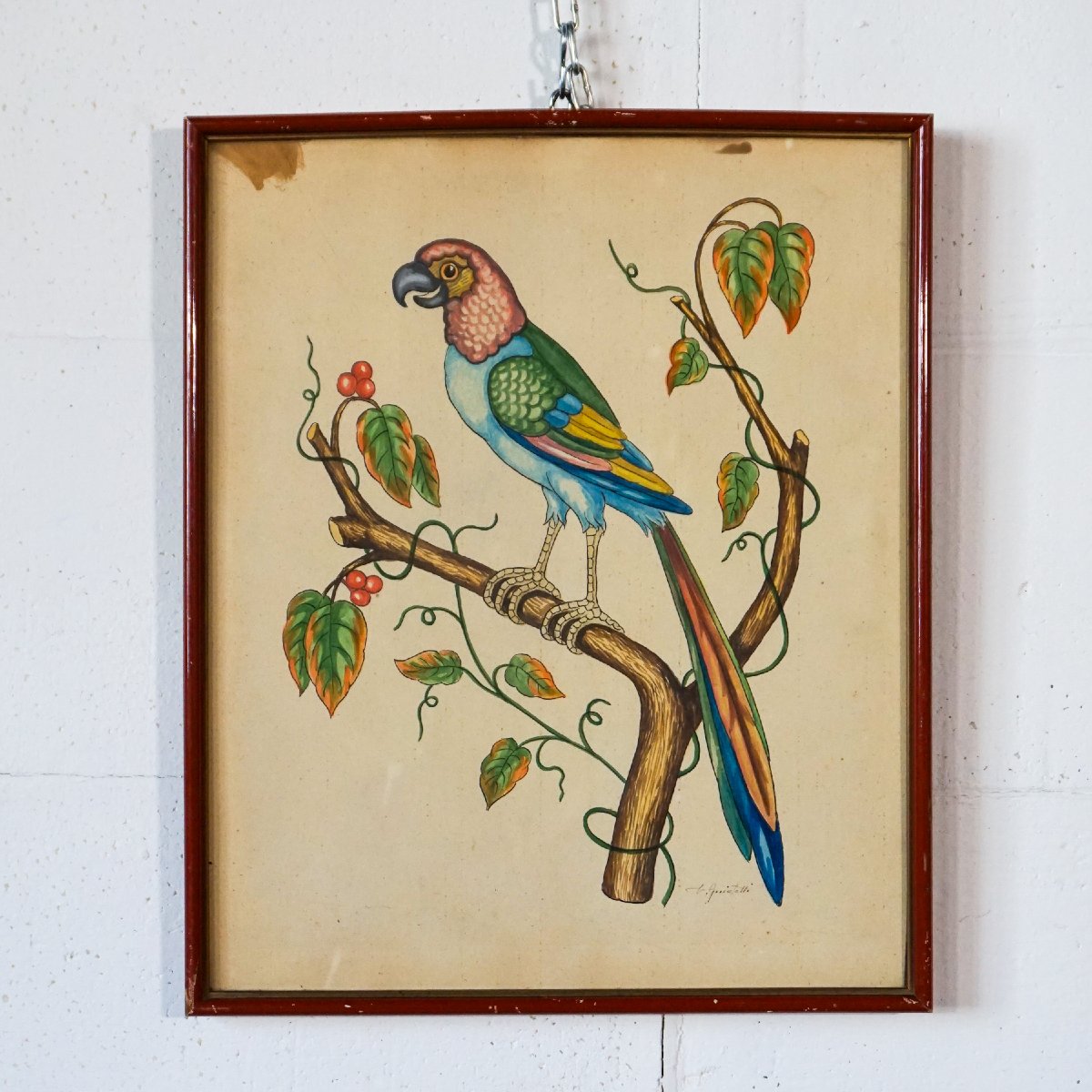 Coppia di acquerelli con pappagalli, firmati – Italia, anni 1950–1970-photo-2