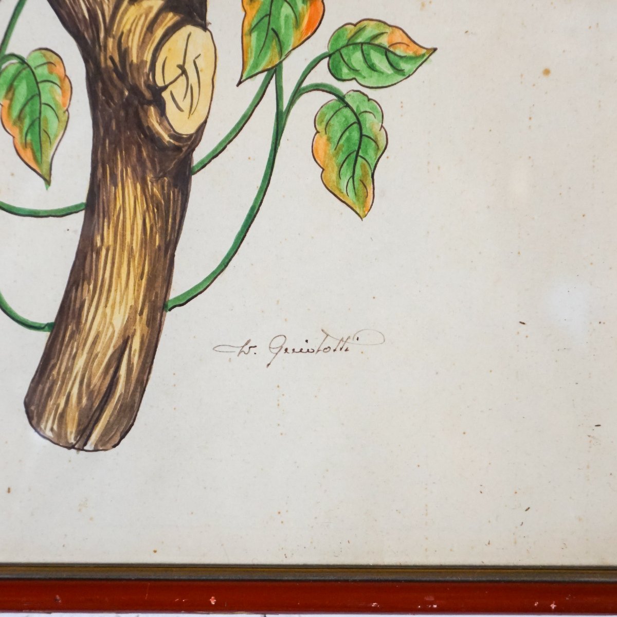 Coppia di acquerelli con pappagalli, firmati – Italia, anni 1950–1970-photo-1