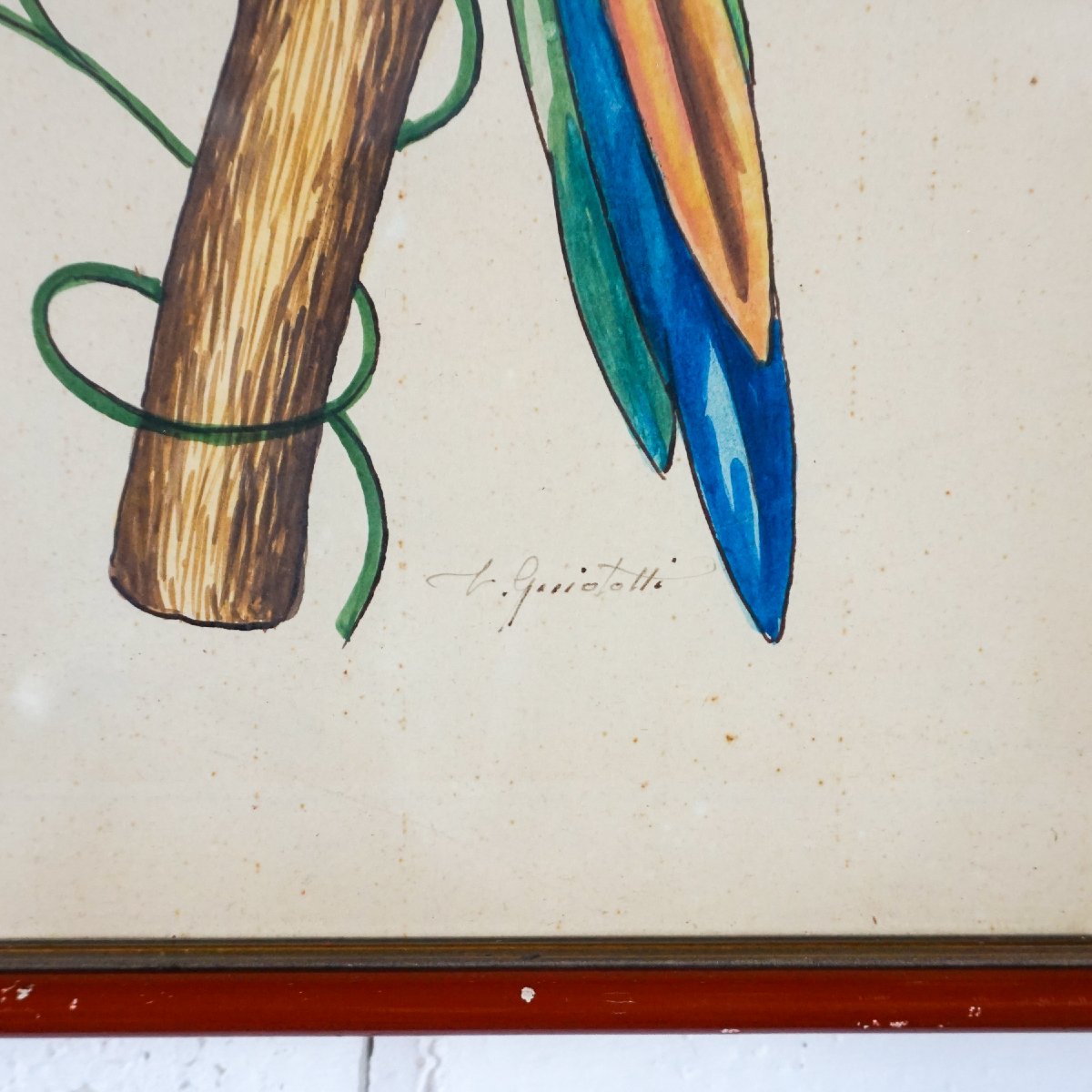 Coppia di acquerelli con pappagalli, firmati – Italia, anni 1950–1970-photo-2