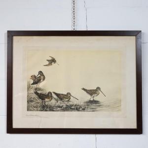 Stampa di Léon Danchin Raffigurante Beccacce in stagno