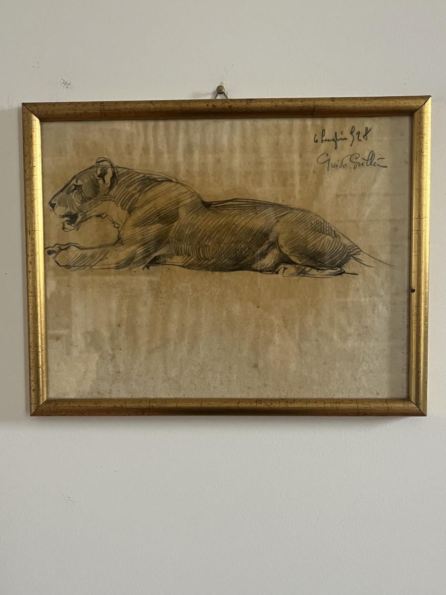 Leonessa a riposo-photo-2