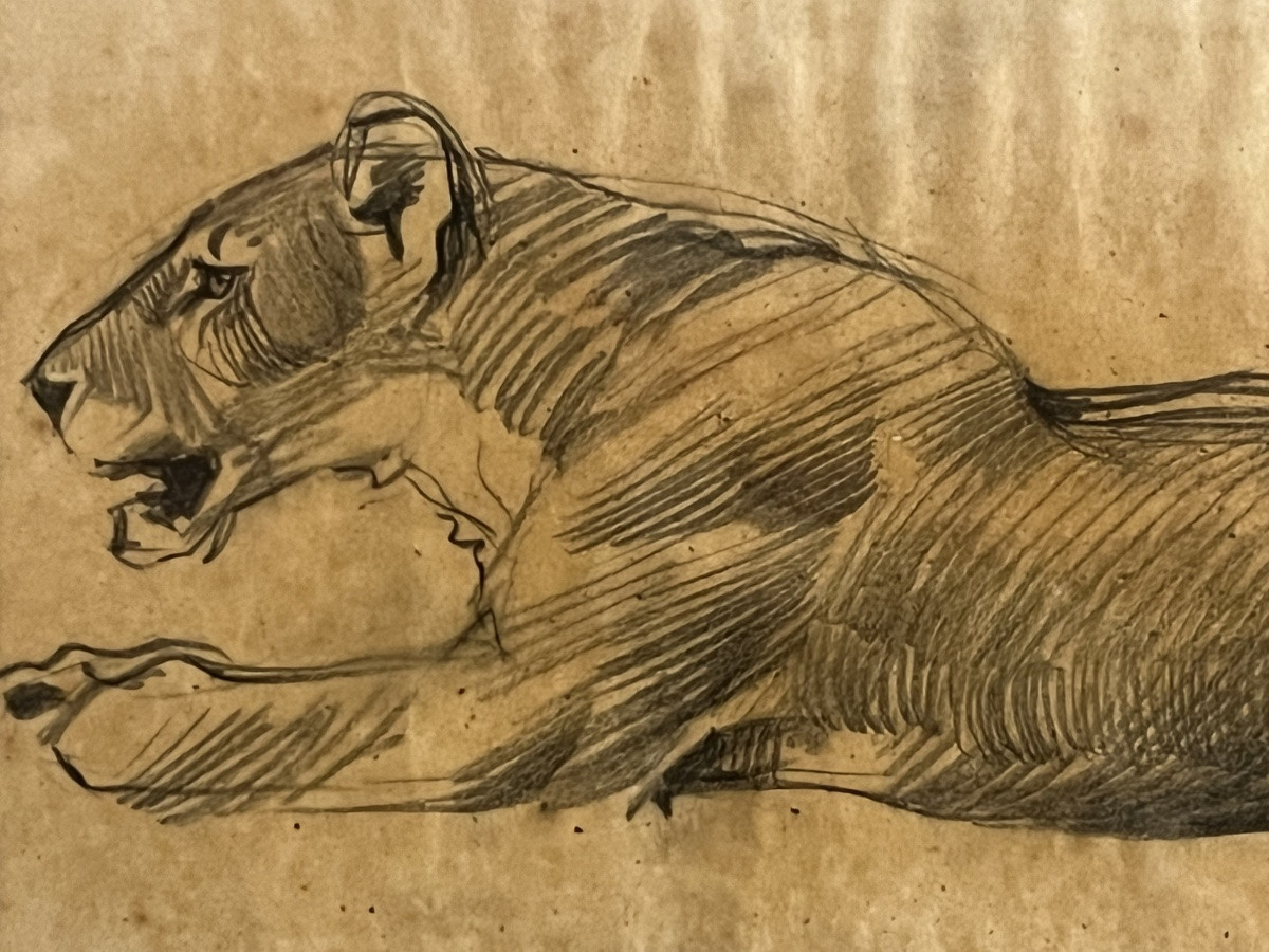 Leonessa a riposo-photo-3