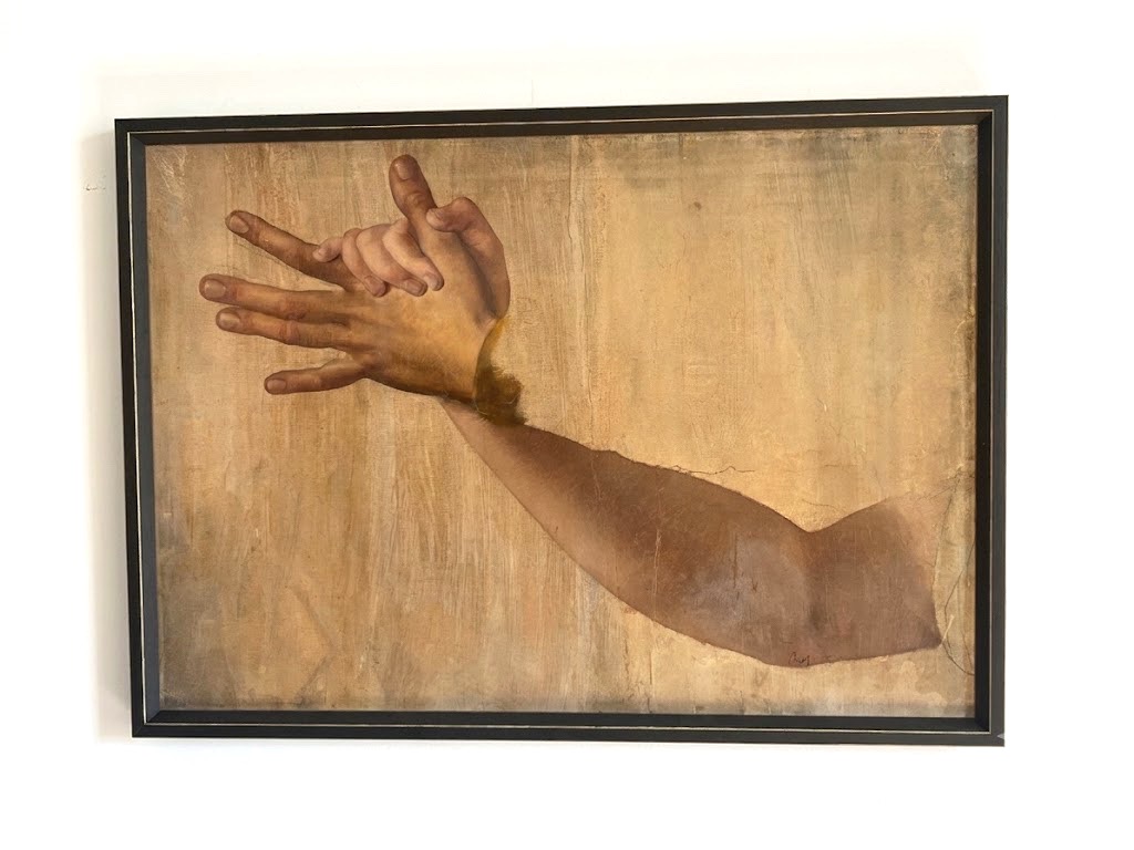 Studio anatomico di mani intrecciate
