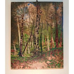 Northern School Woman In A Birch Forest