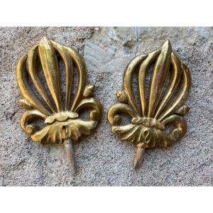 Pay Of Elements In Golden Wood Nineteenth