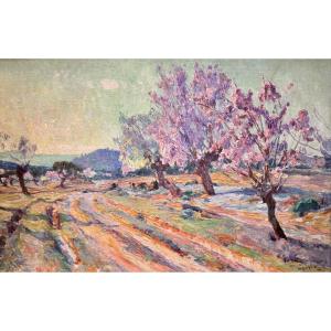 Louis Montagné (1879-1960) Provence Avignon Paris Almond Trees In Bloom, Les Angles