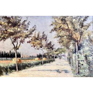 Joseph Meissonnier (1864-1943) Provence Avignon View Of Montfavet Villeneuve Group Of Thirteen