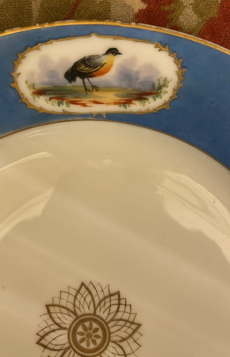 Piatto Sevres seconda metà secolo XIX. Possibilità della coppia.-photo-1