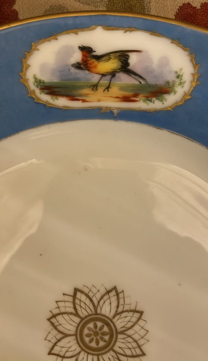 Piatto Sevres seconda metà secolo XIX. Possibilità della coppia.-photo-2