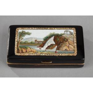Early 19th Gold-lined, Tortoiseshell Micromosaic Snuff Box. Empire Period.