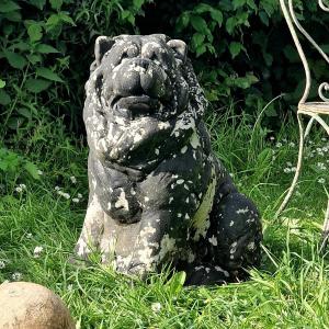 Life-size Chow-chow Dog