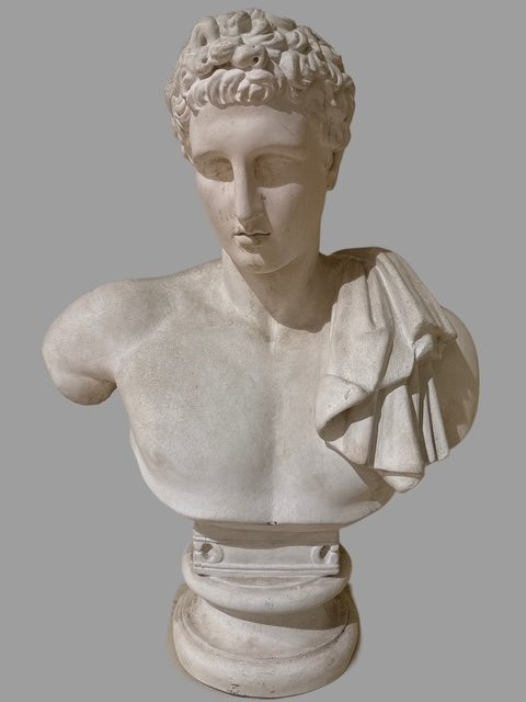 Coppia di busti in scagliola-photo-5