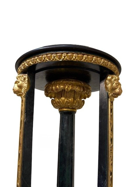 Coppia di tripodi -photo-4