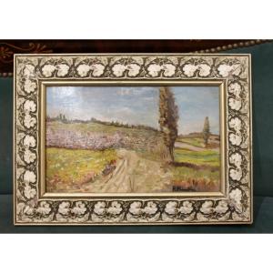 DIPINTO OLIO SU TELA 