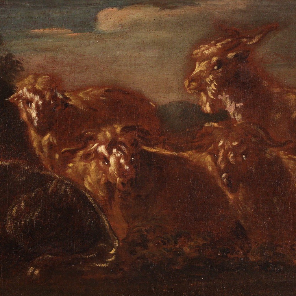Dipinto italiano del XVII secolo, paesaggio con capre e mucche al pascolo-photo-6