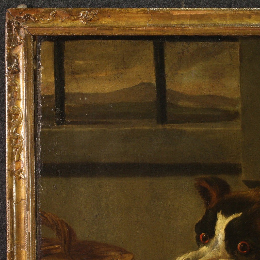 Grande quadro del XVII secolo, natura morta con cani-photo-7