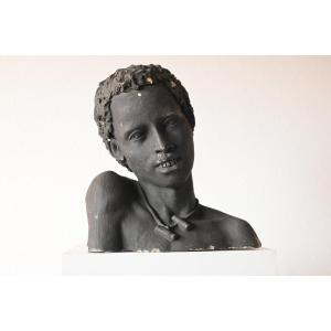 Terracotta Bust Of Young Man