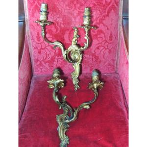 Pair Of Sconces, Louis XV Rocaille Style In Gilt Bronze, 19th Century