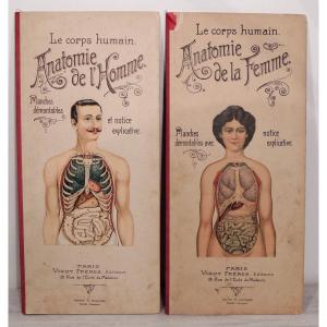 Anatomy, The Human Body Of Woman And Man, By The Vigot Brothers, Early 20th Century 