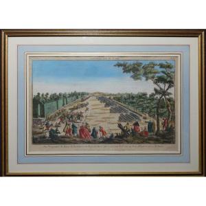 Optical View Revue Du Roy