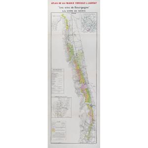 Old Wine Map - La Côte De Nuits