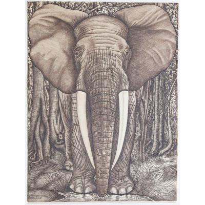 The Elephant - Original Etching