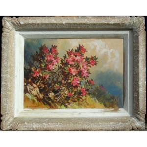 Marcel Wibault (1904-1998) Rhodos Des Alpes - Hsp 33 X 46 Cm (48 X 60 Cm Framed)