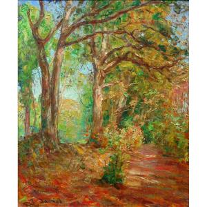 Raoul David (1876-1950) Bretagne - Vitré - Rennes Hsb 28 X 23 Cm - Undergrowth In Autumn