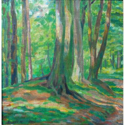 Edouard Hirth (1885-1980) Alsace - Strasbourg - Mulhouse Under Wood Circa 1915 -hsp23, X23cm