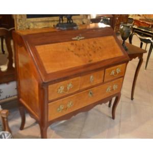 Nantes 18th Donkey Back