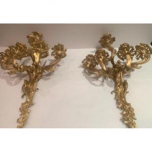 Paire d'Appliques à 5 Bougeoirs 19 ème