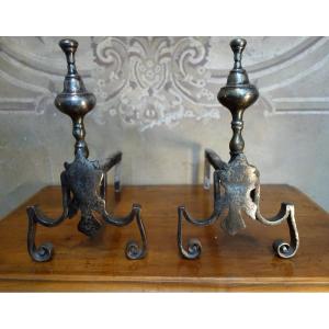 Pair Of 18th Century Wrought Iron And Silver-plated Bronze Andirons
