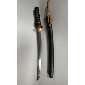  Wakizashi, Edo Period, Japan, 17th-18th Century. Sword 
