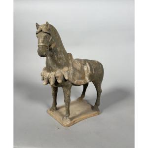 Sculpture Of A Mingqi Warhorse, China, Tang Dynasty (618-907)